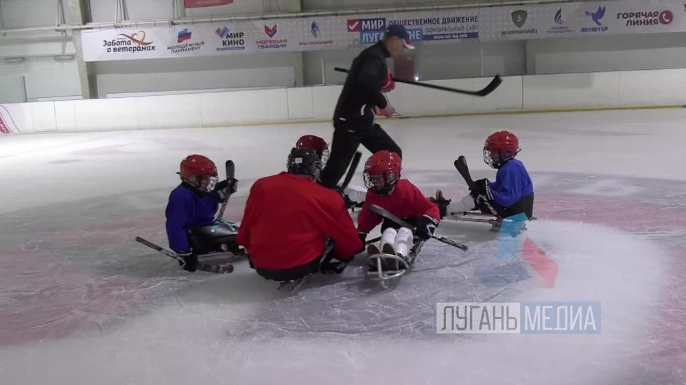 �� �������� ����� �������� ������ ���������� �� �����-������