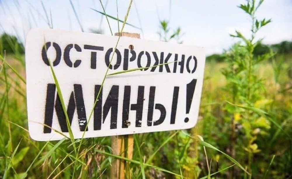 � ��� ����� 20 ���. �������� �����, ��������� ��� ������������� � �������� ���������, ������� �������� ������, �� ���� ��������� ������� ��������� ��������� � �������������� ���������� ������� �������