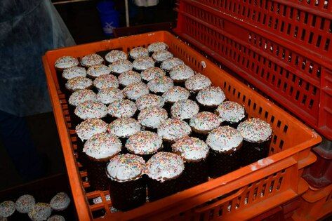 �������-���� �� �������� ����� �������� ����������� � ���������� ��� 25 ���� �������