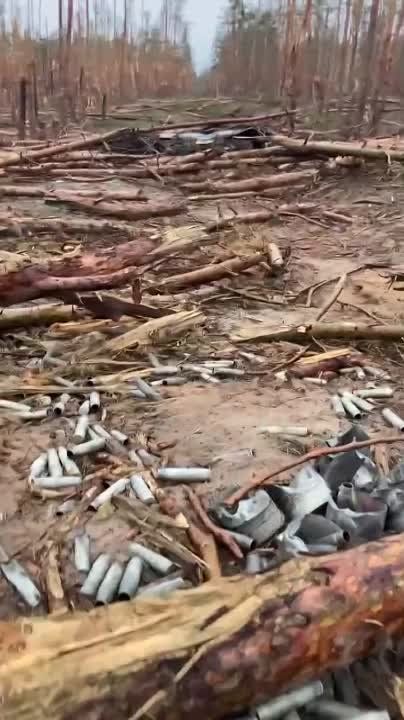 ����������� ���� � ����� �� ��������� �����������