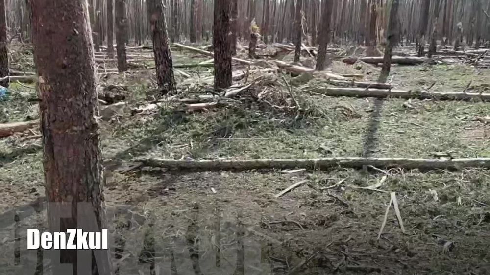 ������� �����, �����������-���������