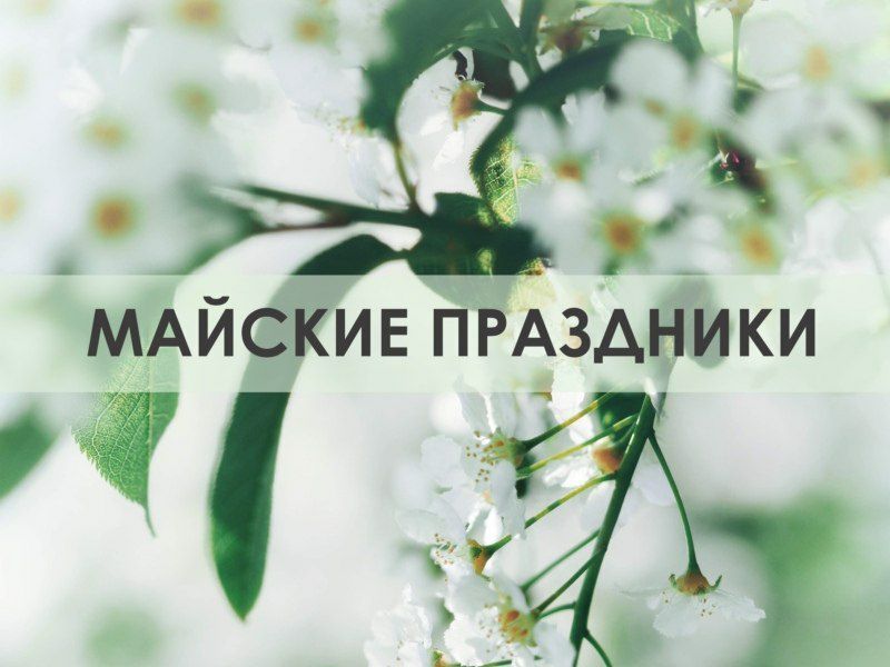 ����� �������: ������������ ����� � ���������� �������� ��� ���������������� ������� ���������� � �������� ���� � ������ ������� ����������