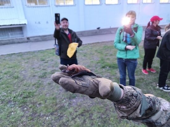 ���������� ������ �� ������ ������� ������� �����