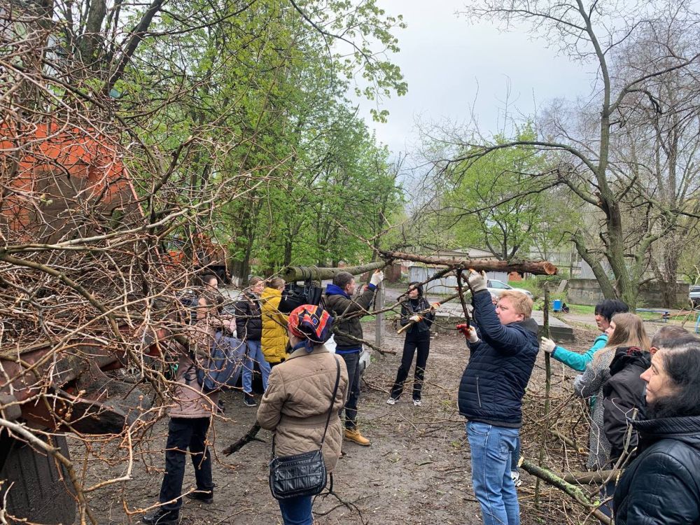 ���������� ������������ ����������� � ����� ������� ������� �� ������������� ����������