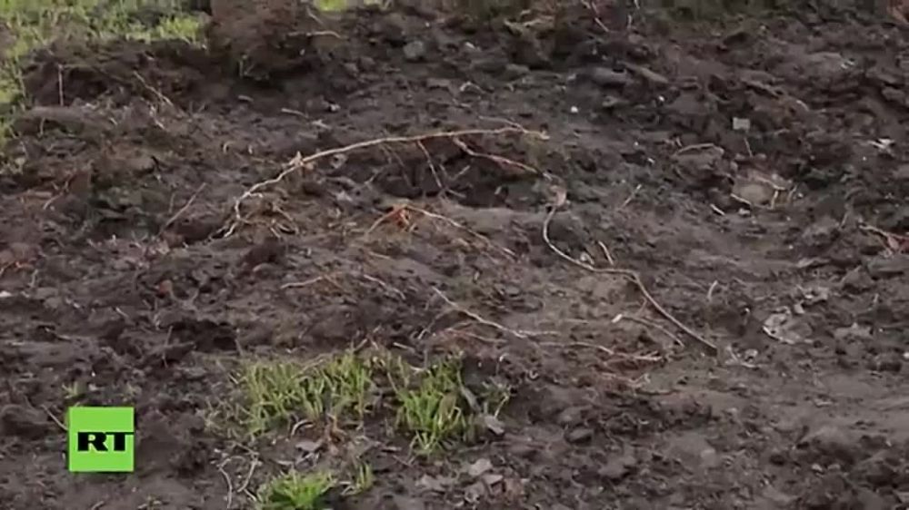 ������ ���������� ����������, ��� �� �������� �������� � ��� ����������� �����