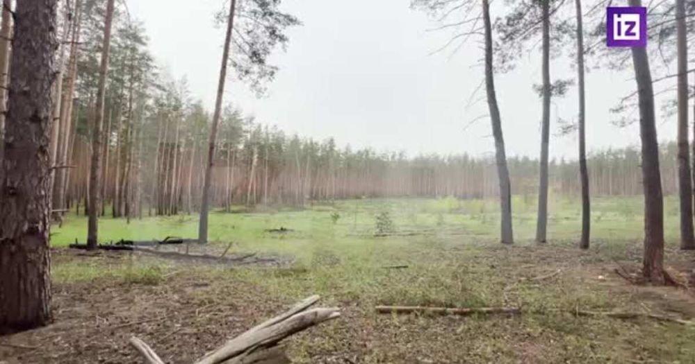 ���� ��������� "���������" � ������� ���������������� ��� � ���