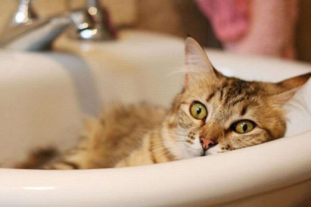 ������ ���� �� ��������� ������� ������ 24 ������ ����� �������� ���������� �� ����� � ����� � ����������� ��������� �����