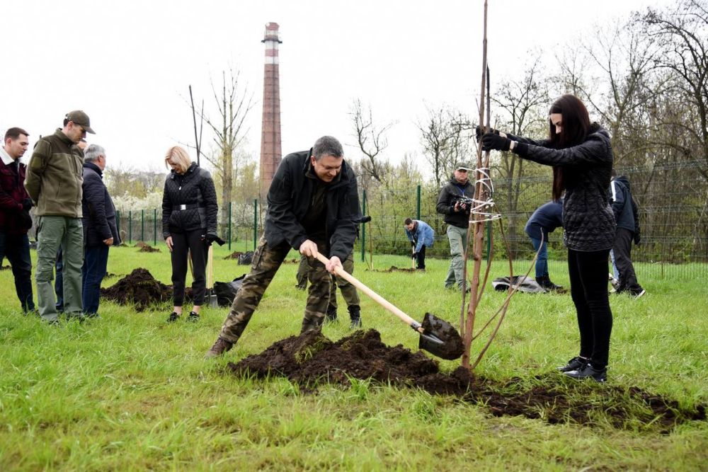 ���� ����� ��� ������ �������� ������� ���������