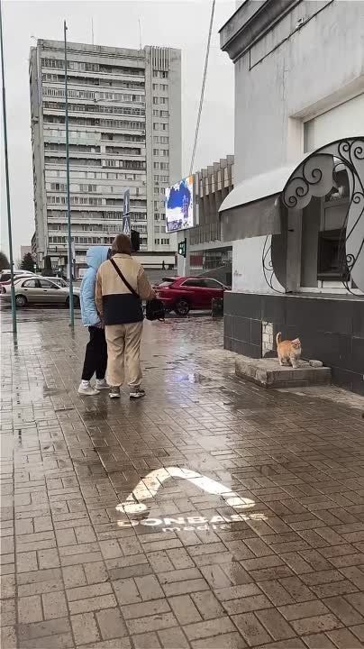 ��������� �������������, ��� ����� ��������� �������