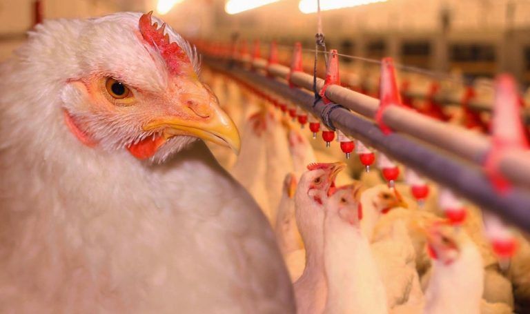 ��������� �������������� � ��������������� ���������� �������������� ��������� ��� ������������� ����������