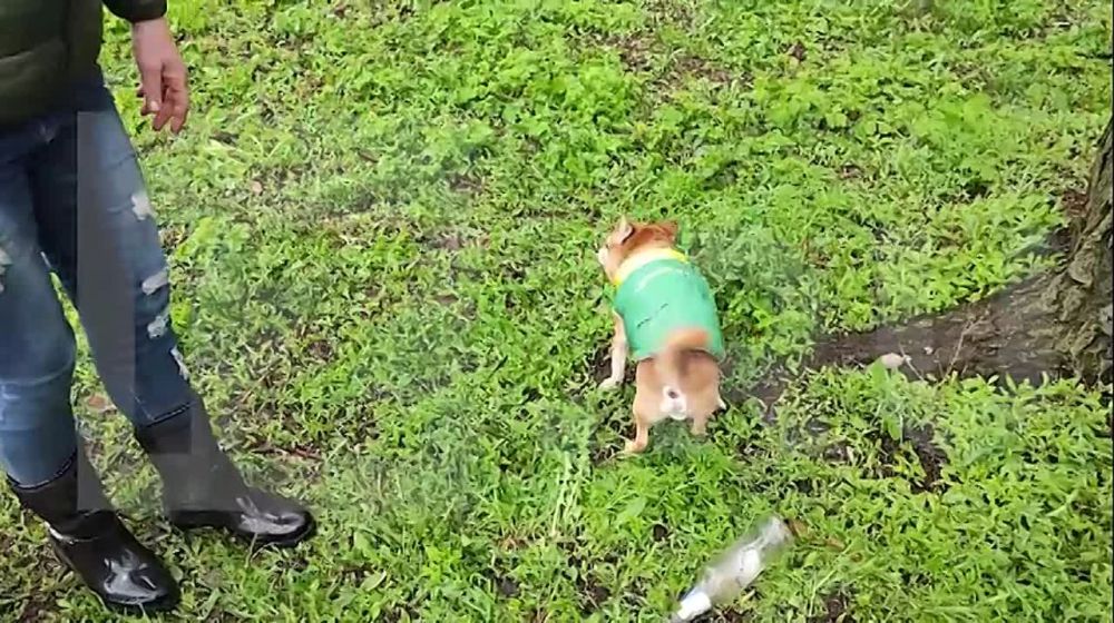 ������ �������� ������� �������� ����� ��� �������� ������� ��-�� ������ ��������, � � ��������� �� �������� ������