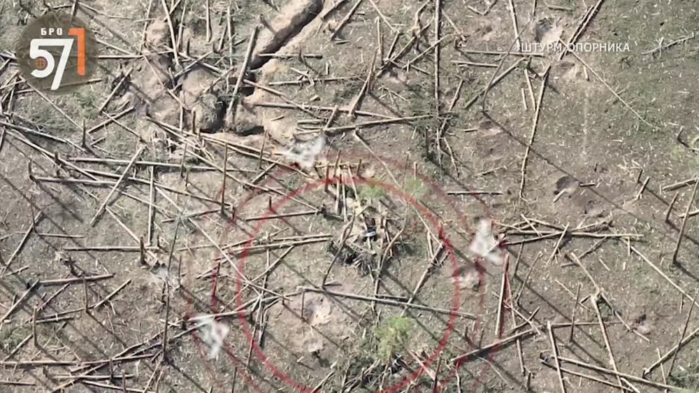 ����������� - �������-���������