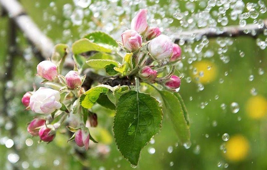 ��������� ������������ ��������������� ����� � ����� ������� � ��������