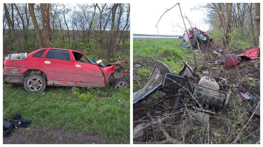 � ������������� ������ ��������� ����������� ���