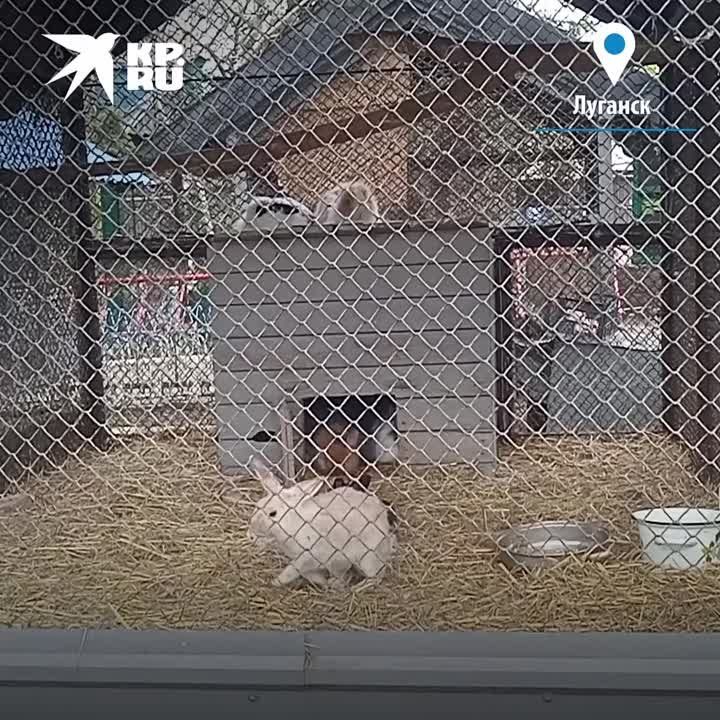 � ��� � ����� �� ��������� ��������