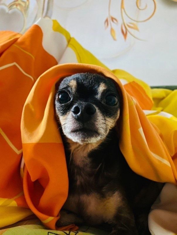 ������� ������. ������- ��� ������