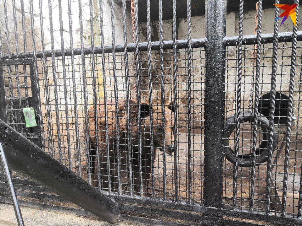 �������� �� ��������� �������� ������ ����