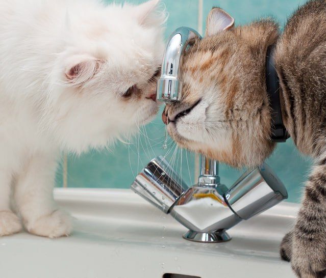 ������������� ����� ���������� ������ 27 ������ ����� �������������� �� �����