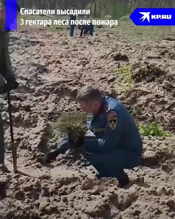 ��������� � ��� �������� 3 ������� ���� ����� ������