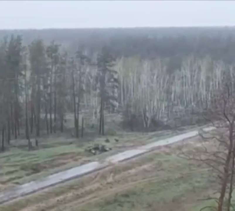 ��� ����������� ������� �������������� ������� ������� ��� ��������� (���)