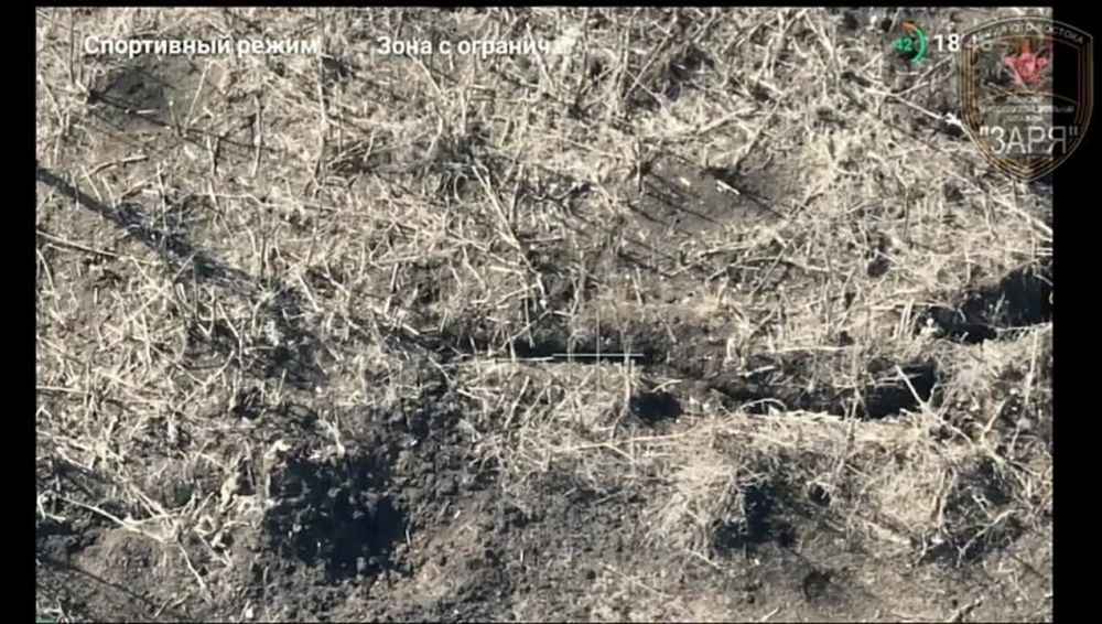 ������� ����� ���� �� �����