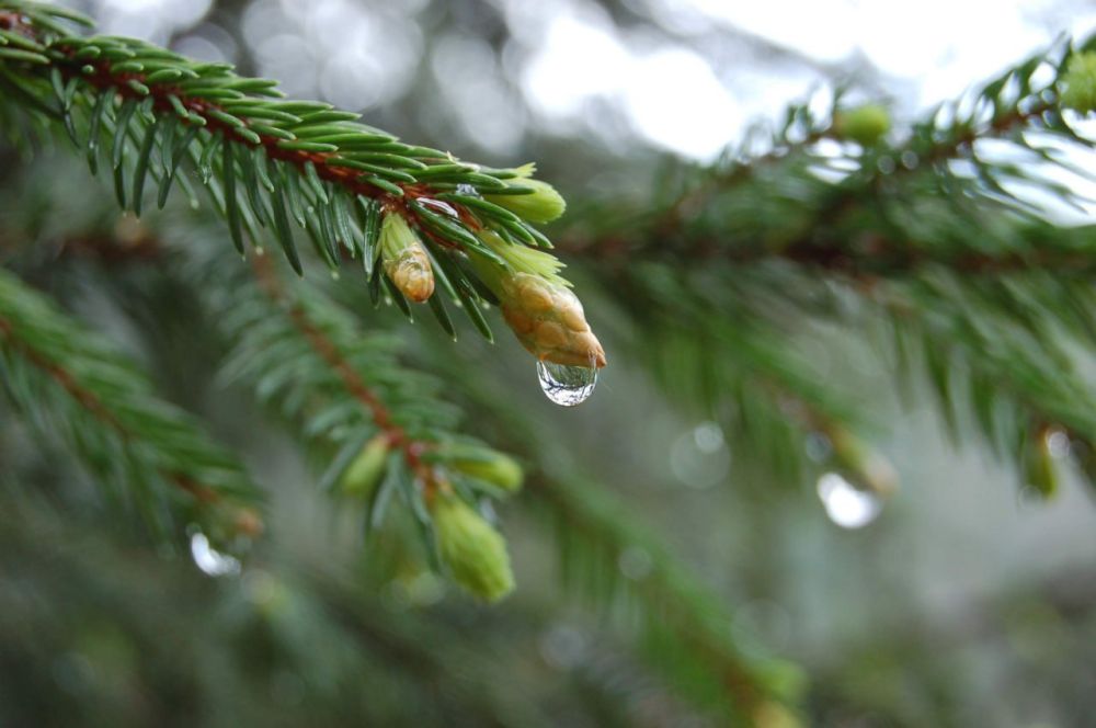 ��������������� ����� � ����� ��������� � �������� ������