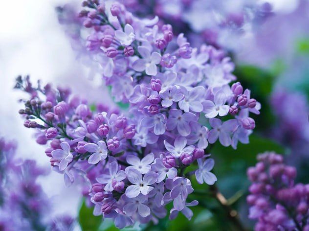 ��� ������� ������ ������ ��������� � ������ ������� ����������