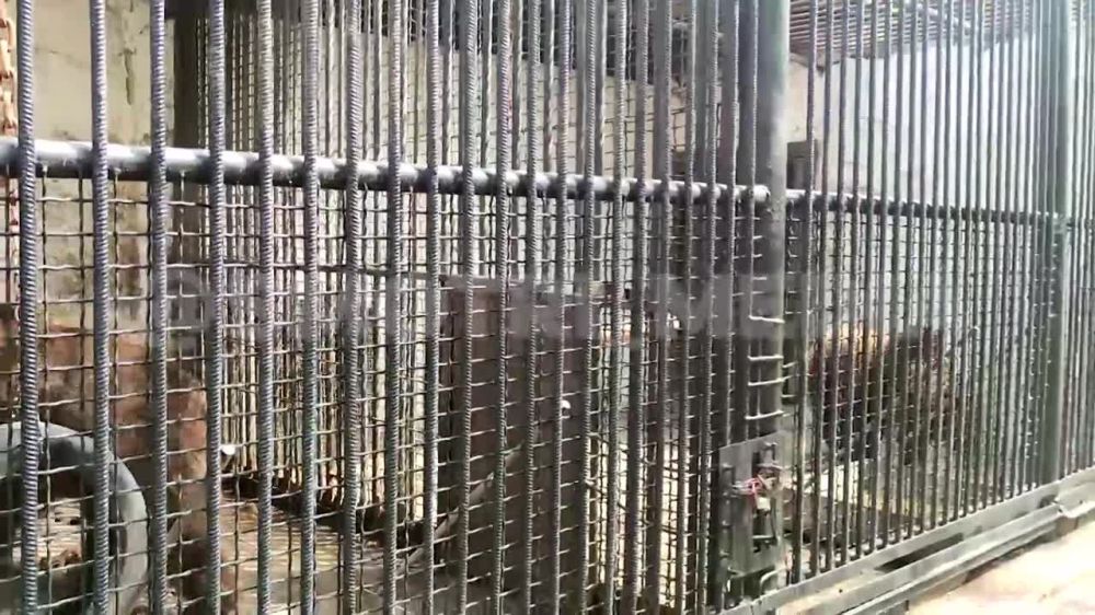 � ��������� �������� ������� ������ �� ������ ���� ����������