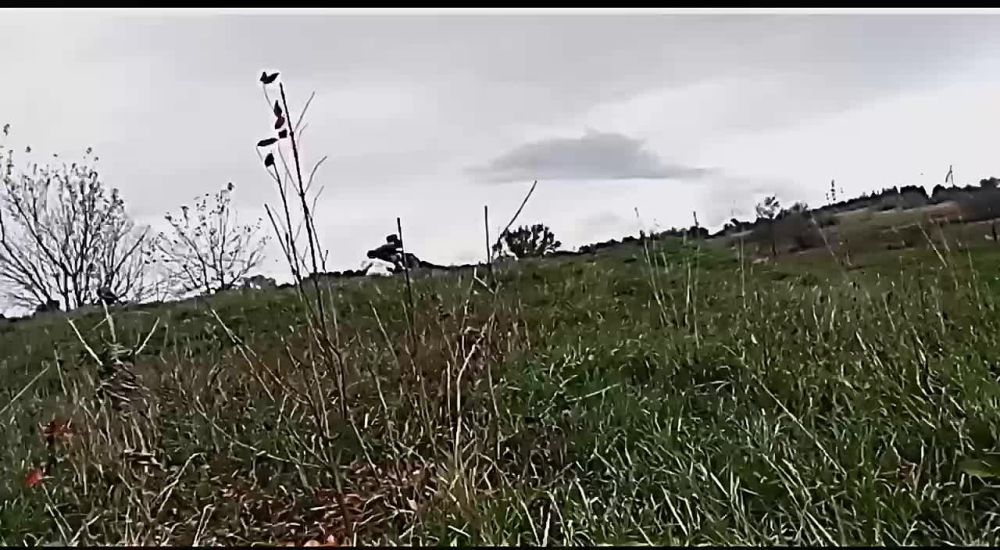 ����������� ����� ����� ����������� �� ��������� ����� ����������� � ��������, ����� ����� ���� �����, ��� ��������� �� ���, ����� ������� ��������� ������� � ��������� � 2014 ����