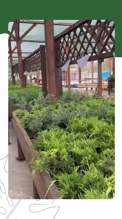 ������� ����������� ������������ ������� ��������, �������� �������� � ������� ������ � �����������!