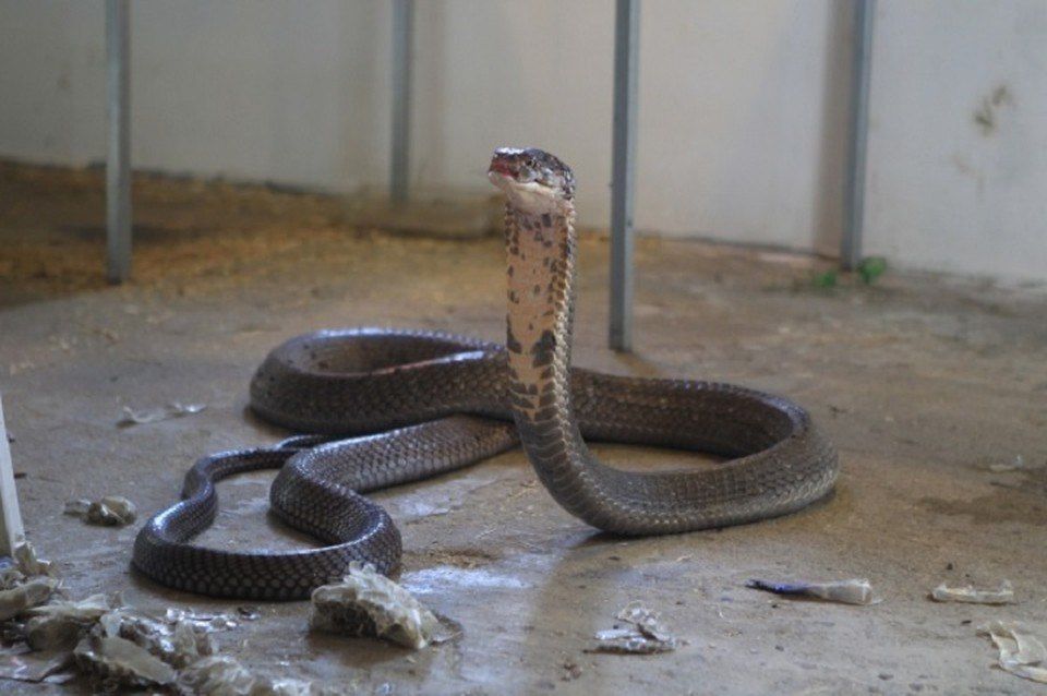 � ����� � ����������� ���������� ��� ��������� �� ��������� ����� ����