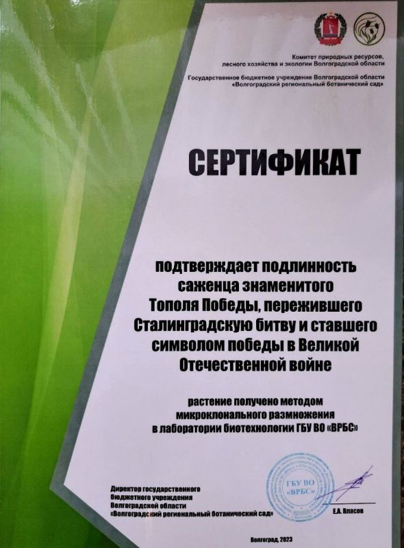 ����������� ���������� ������ ����������� �������������� � �������� �������������� ������ ��� � ��� � ����� ������ ���������...