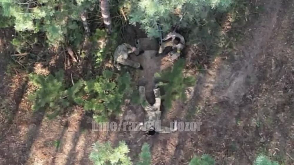 ����� ������, � �������� �� ����������..