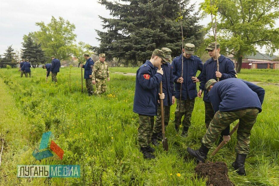 ЛНР. В Луганске появилась аллея из 200 каштанов