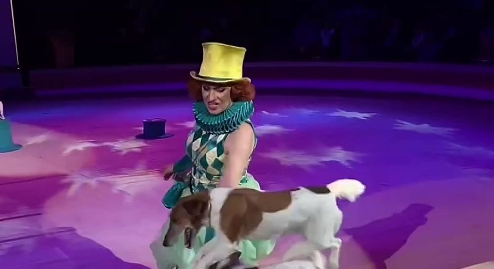 �������� ��������� "������� � ����" �� ������� �������� ���������� �������� �������� ���������� ������� ���������� � ��������� ��������������� �����