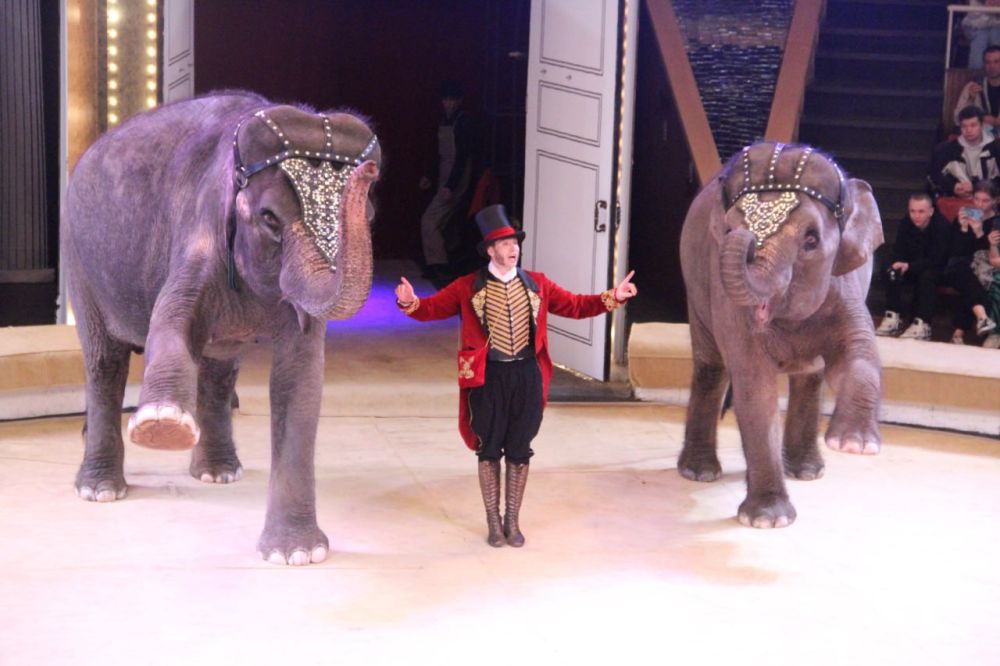 �������� ��������� �������� � ����� �� ������� �������� ���������� ������� ������� ���������� � ��������� ��������������� �����, �������� � ���� ���