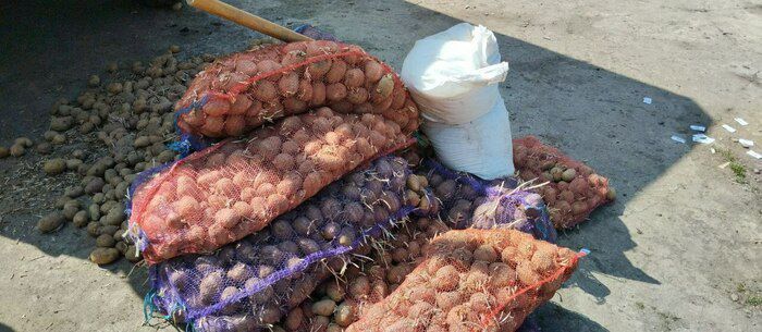 Сотрудники администрации Первомайска доставили в Попасную 2,1 тонны продуктовых наборов и более двух тонн картофеля, ранее переданных в город Луганским региональным отделением политической партии "Единая Россия" и Калужской областью