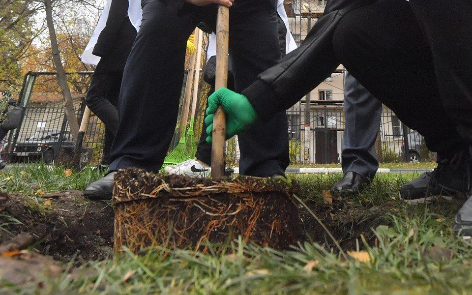 � �������� �������� ����� �� 220 �������� �������