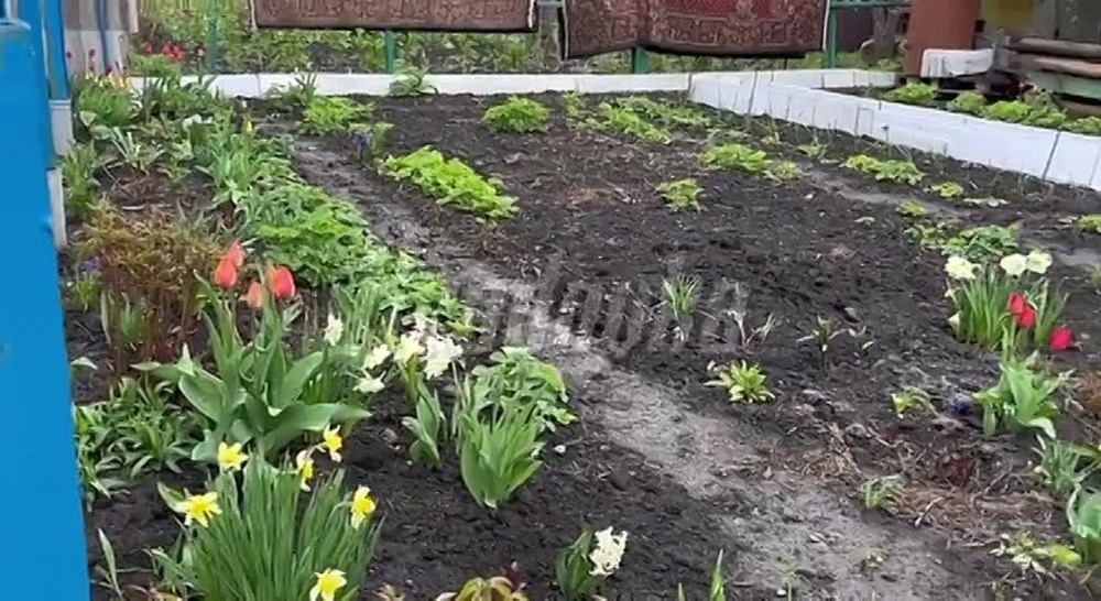 ������ �������, ��� �� ����!� � ���������� ���������������� ������ �������� ���������� ����� ���� ��� � �������� ��� ��������� ����������� ������