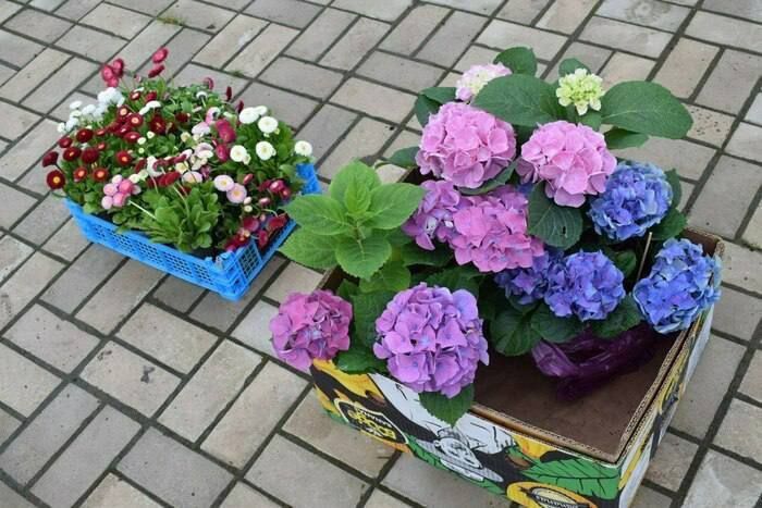 ����������� �� ��������� ������� � ���������� ��� ������ �������� ��������������� ��������� ��������� ������ � ��������� ����������� � ������� ���������� ���� ��������