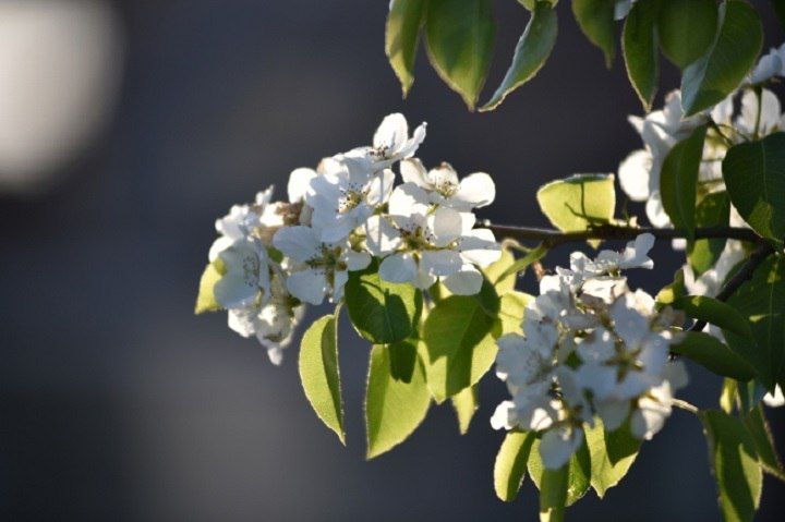 ������ ��������: �������� ���������� ����� ������ ��������� � ���������, �������� ������ �������� ���������