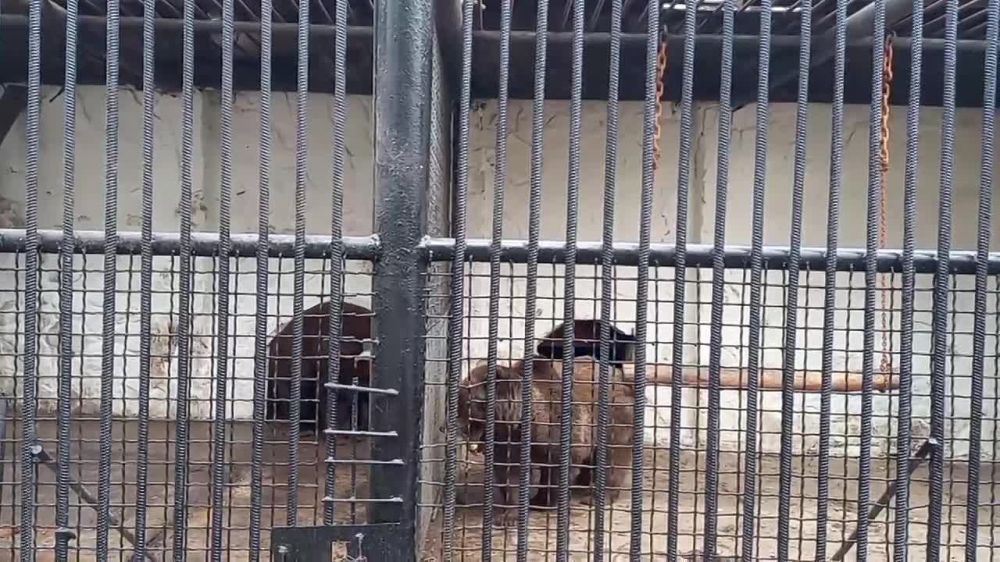 ����� �������� � �������� ��������