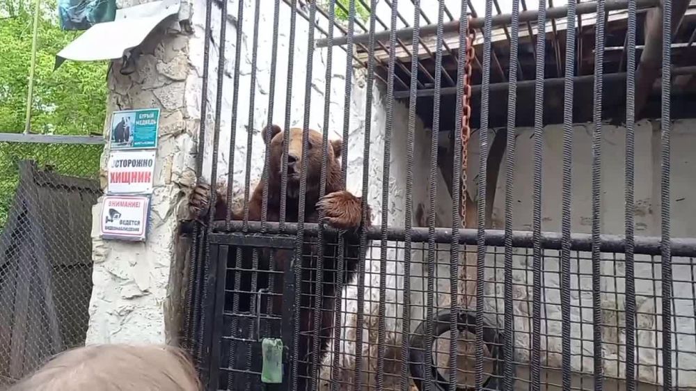 � ����� ����� ��������� ������� ������������� ��� ����������� ��������