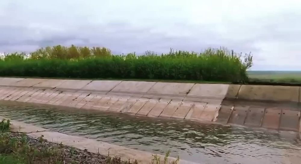 � ����� ��������� �����- ������� ����� ���� �� ����! ������ ������� ��������, ���������� ������, ��������