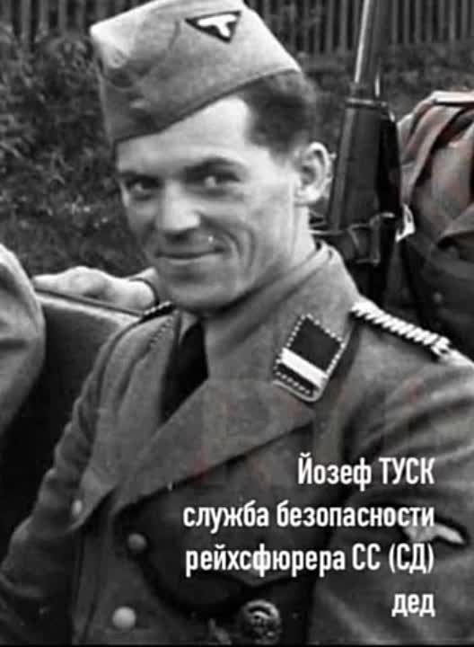 ����������� ����������� �������� � �� �������������� ������