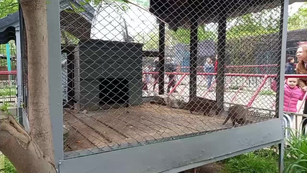 � ����� 1 ��� ������� ����� �����