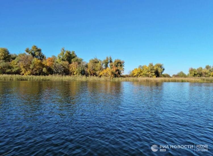 ������ �� ����� ����������� ������