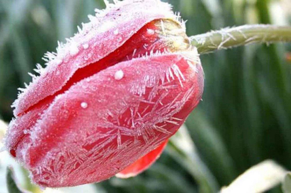 ��������� �� ����������� ����� ��������� ������ � ��������