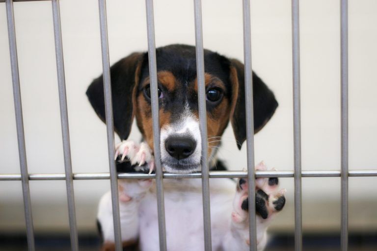 ���������� �������� � ������ �� �������