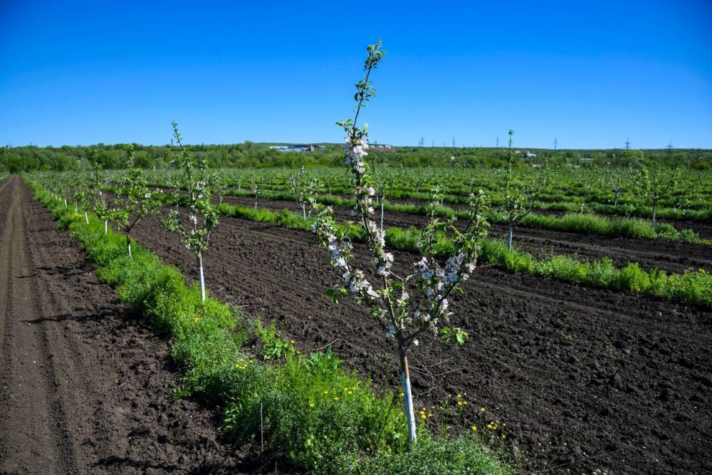 ����� ���� ���� ����� ��������� ������� ������ 2023 ���� � ���������� ���������� ���� ����������